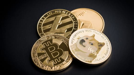 La Dogecoin man&iacute;a toma impulso en medio de las advertencias: &ldquo;sea m&aacute;s inteligente&rdquo;
