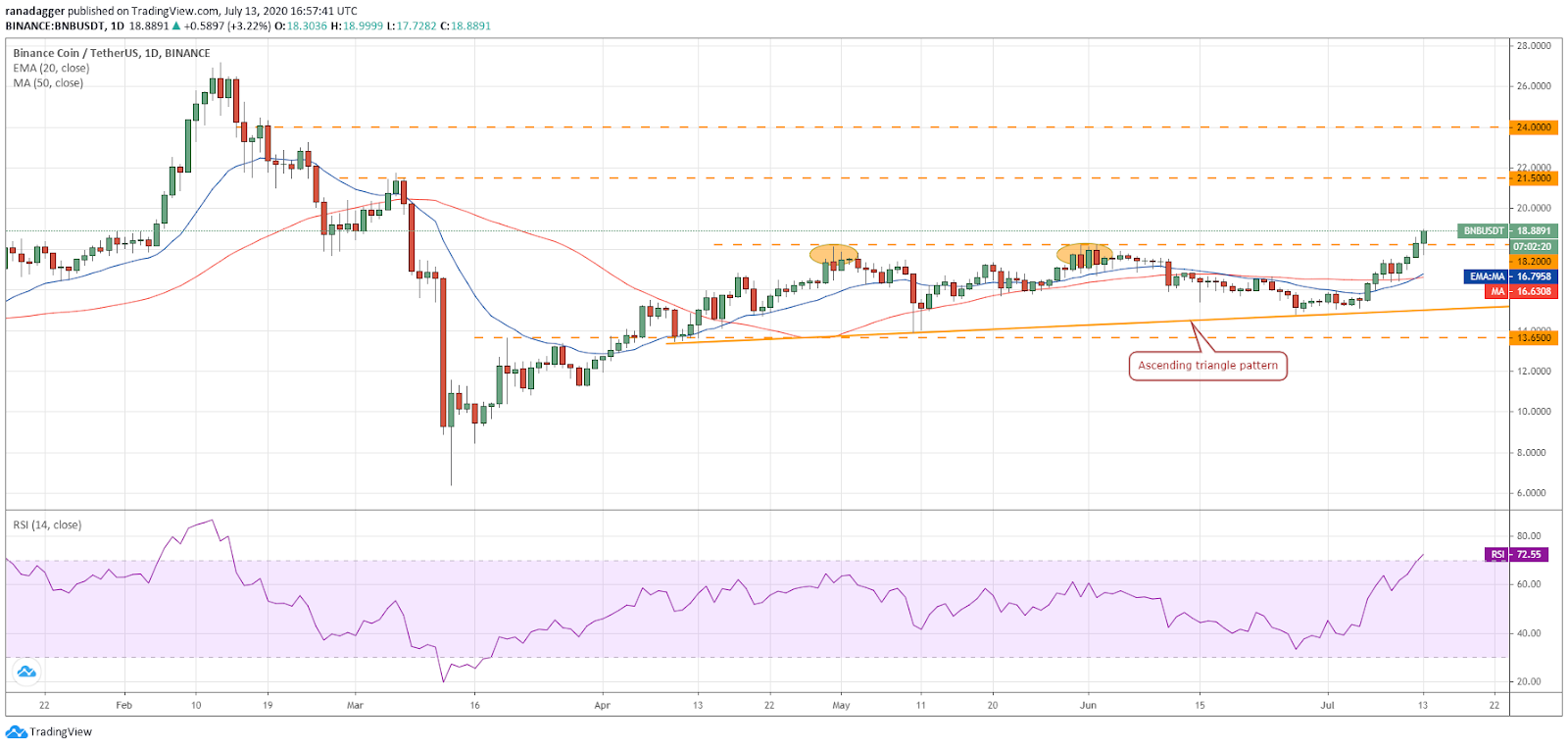 Gr&aacute;fico diario para el par BNB/USD. Fuente: TradingView