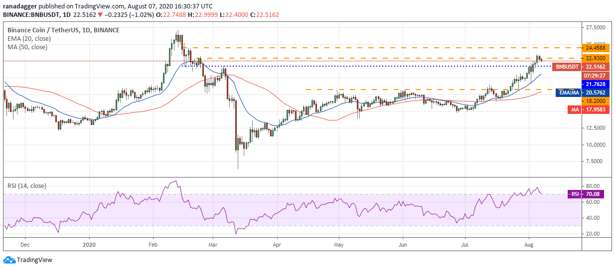 Gr&aacute;fico diario para el par BNB/USD