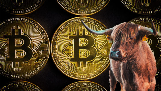Para Willy Woo, comenz&oacute; la corrida alcista de Bitcoin