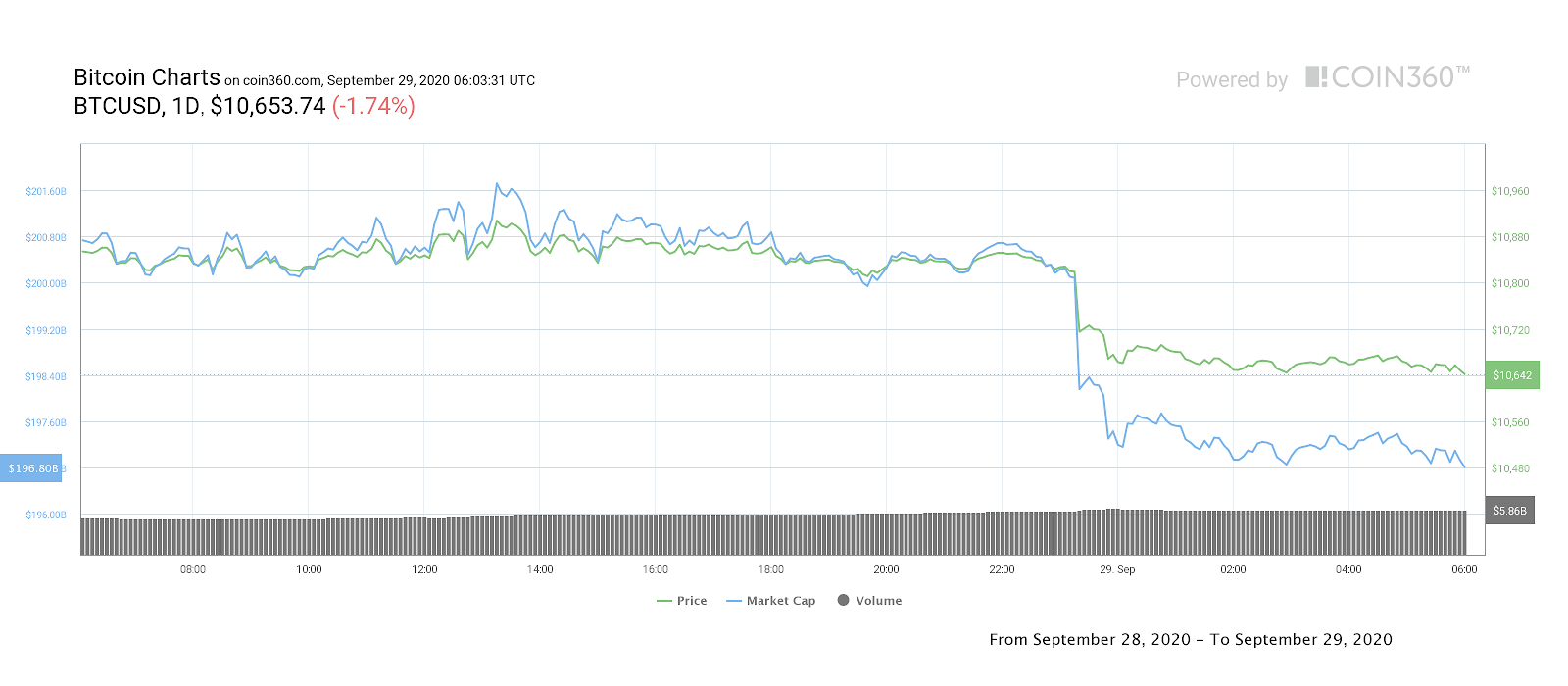 Bitcoin price daily performance