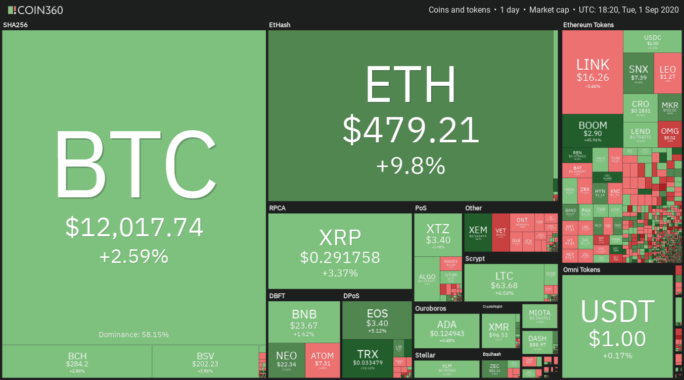 Cryptocurrency daily market performance snapshot