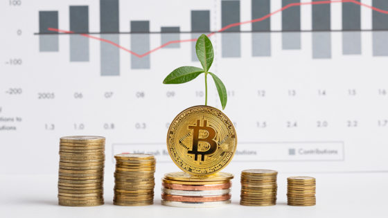 Bitcoin merece una asignación estratégica en portafolios institucionales, dice Ark