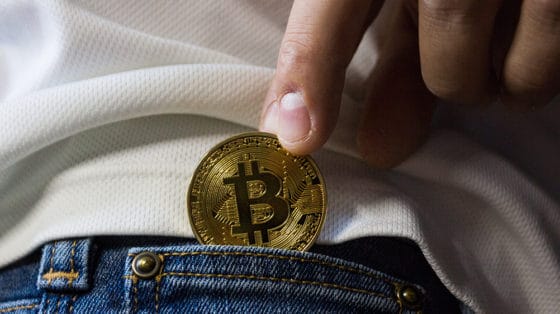 Inversionistas institucionales optarían por tener 20% de sus reservas en bitcoin, dice Ark