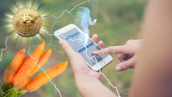 Taproot en Bitcoin reduciría a menos de 1 satoshi las comisiones en la red Lightning