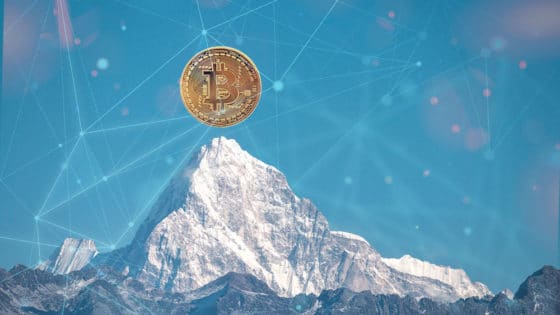 En medio de la caída del mercado, la dominancia de bitcoin sube al 45%
