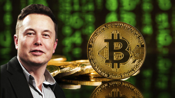 No, Elon Musk, Bitcoin no está centralizado y estos datos lo demuestran