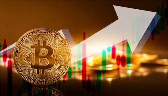 Bitcoin retomó los 42.000 dólares, su mejor precio en 10 semanas