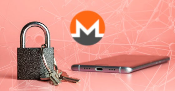 Equipo central de Monero cierra acceso de Fluffy Pony a la red tras su arresto