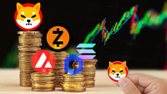 Shiba Inu y Zcash son las más apreciadas de la semana y el mercado sigue con altibajos