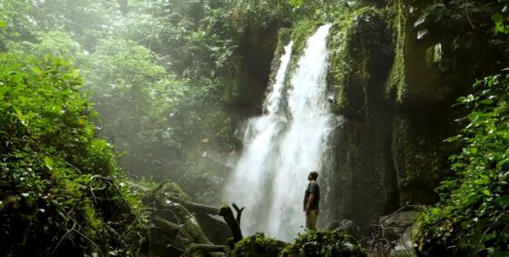 El Bosque Alto Mayo de Perú se refugia en los NFT para protegerse de las amenazas