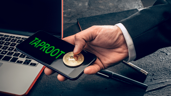 Con Taproot activado en Bitcoin, ¿qué pasa con los monederos y procesadores de pagos?