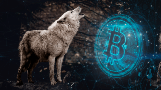 Todos somos lobos solitarios de Bitcoin en las estepas de la minería 